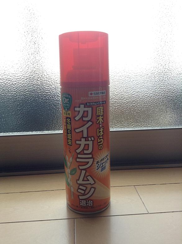 カイガラムシ駆除とは 人気 最新記事を集めました はてな カイガラムシ駆除とは 人気 最新記事を集めました はてな