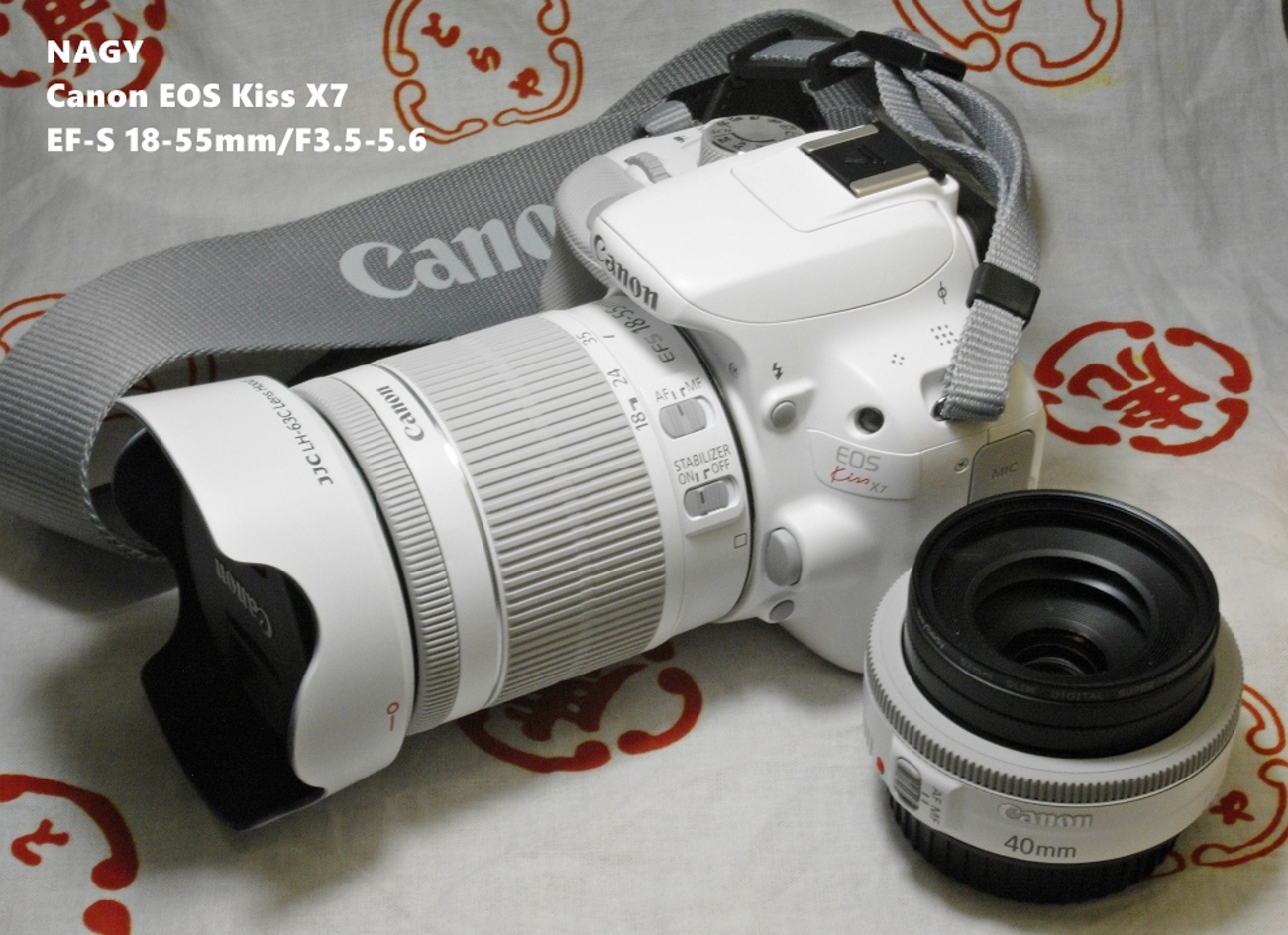 Canon EOS Kiss X7 デジタル一眼 EF40mm F2.8 のばせ STM EF-S 18-55mm F3