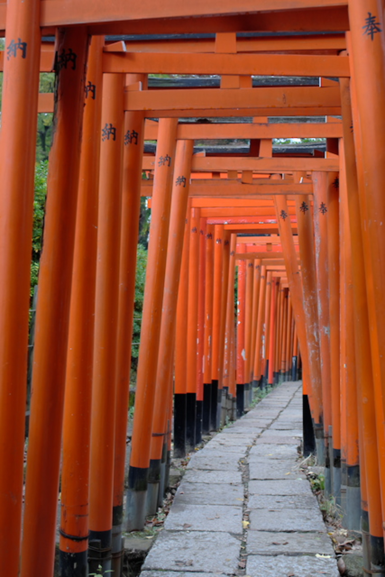 下町 根津神社 with YASHICA ML 28mm F2.8 - Living Happily with Photos.