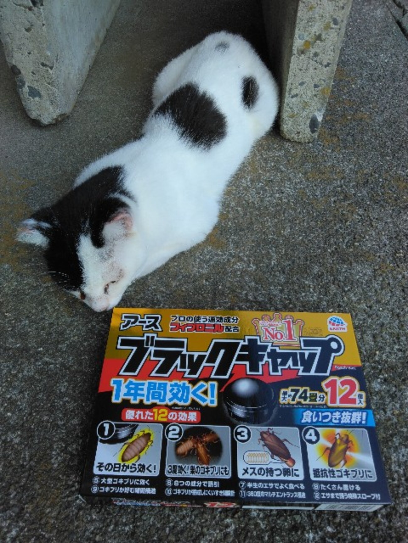 ばあちゃんのキッチン - MAMMA  　ちょっと元気に　なれる　かもしれない処
