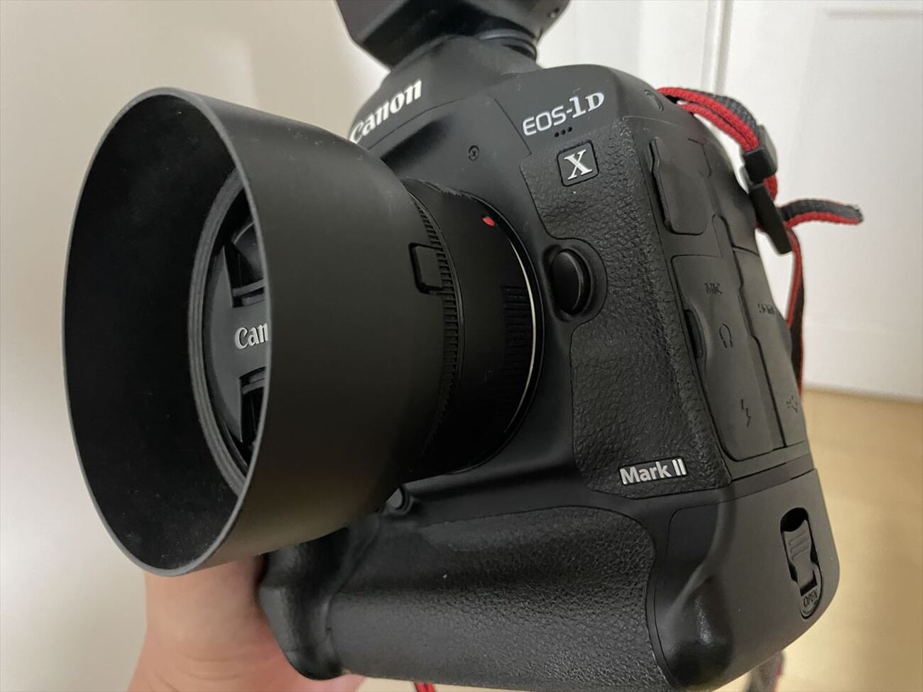 2022年現在の、EOS-1DX Mark2メリット・デメリットをまとめました - 他 