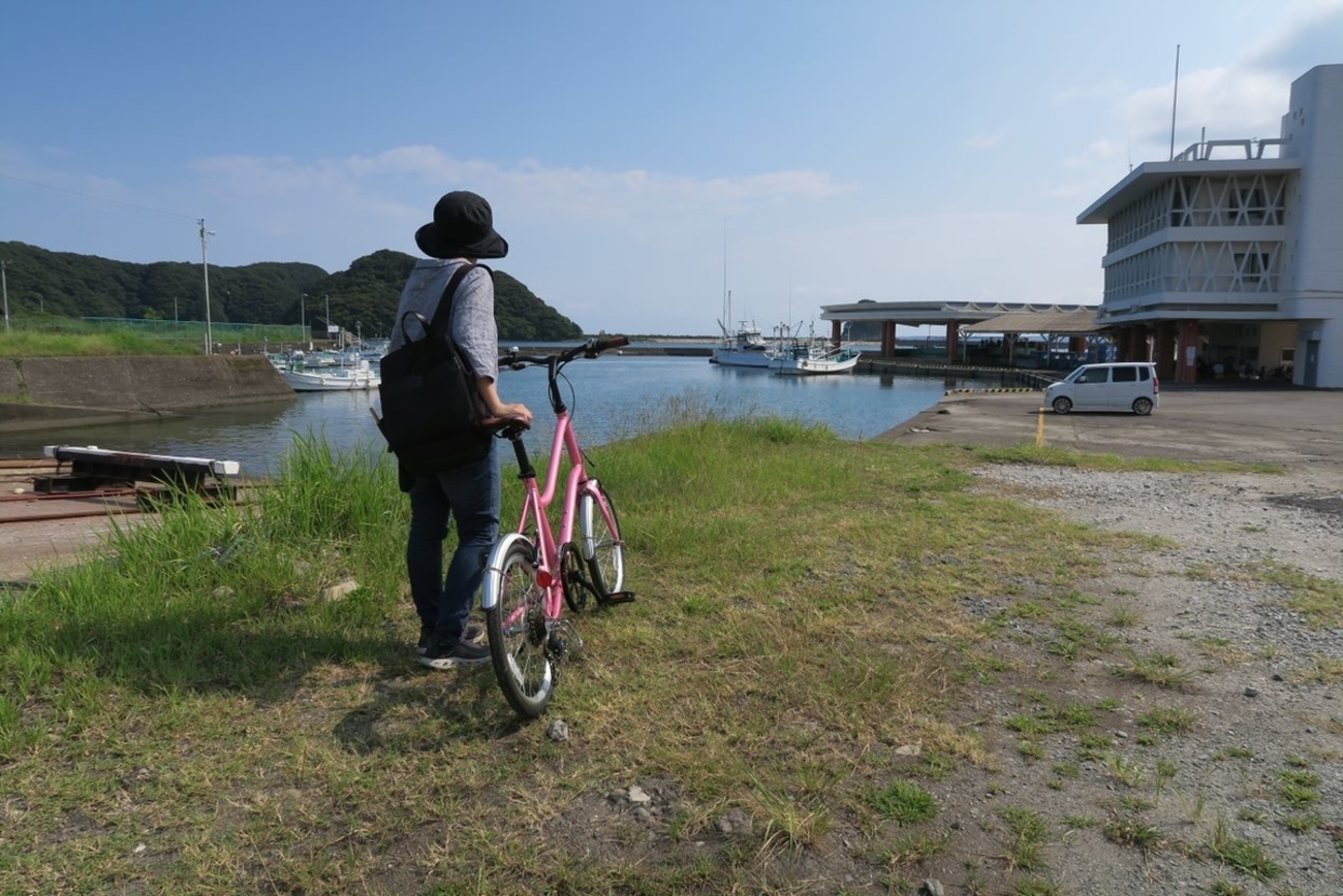 20インチの折り畳めない自転車、買いました① - Link-Light