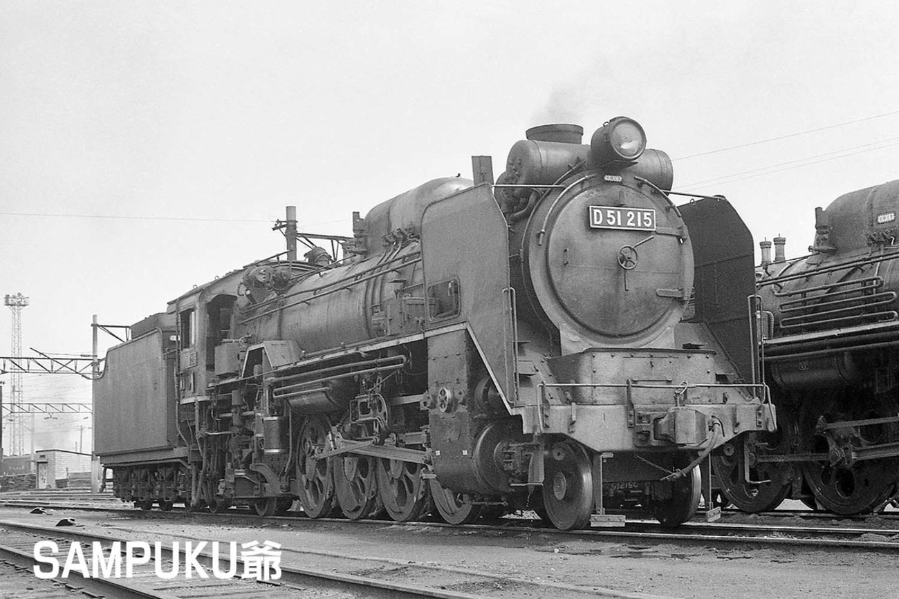 D51 215 - ただいま鉄道写真スキャン中