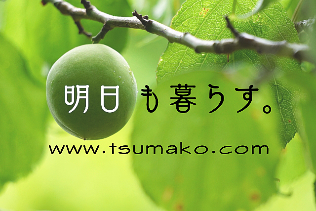 暮らし カテゴリーの記事一覧 明日も暮らす