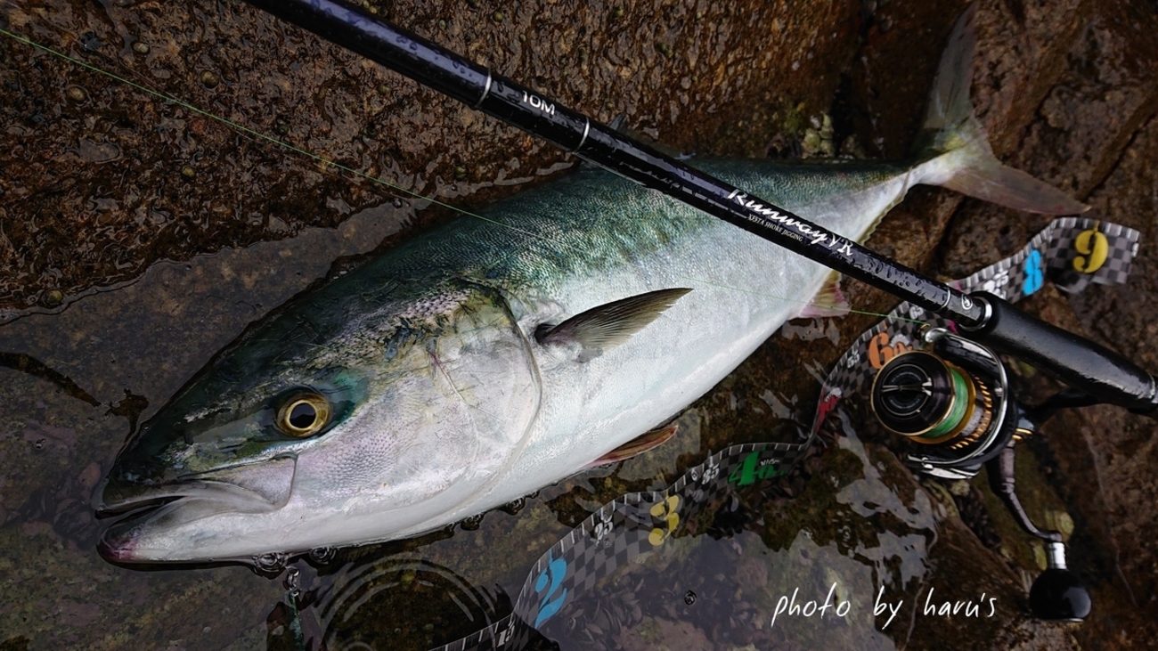 値下げここまで ふさわしかっ XESTA ランウェイXR 106MH