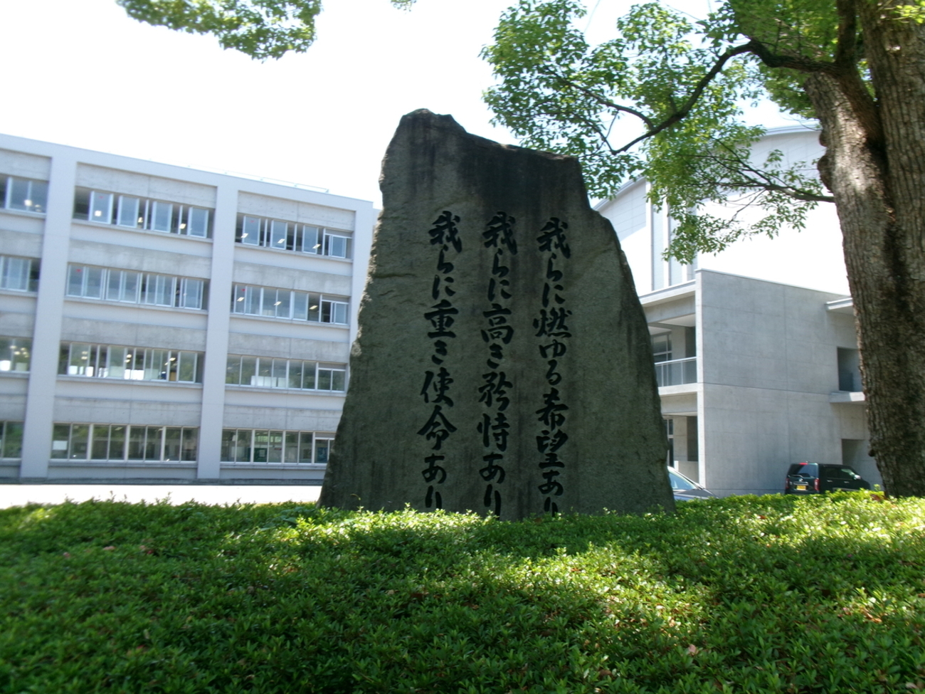 樟樹65本健在 - 剣持雅舟のブログ