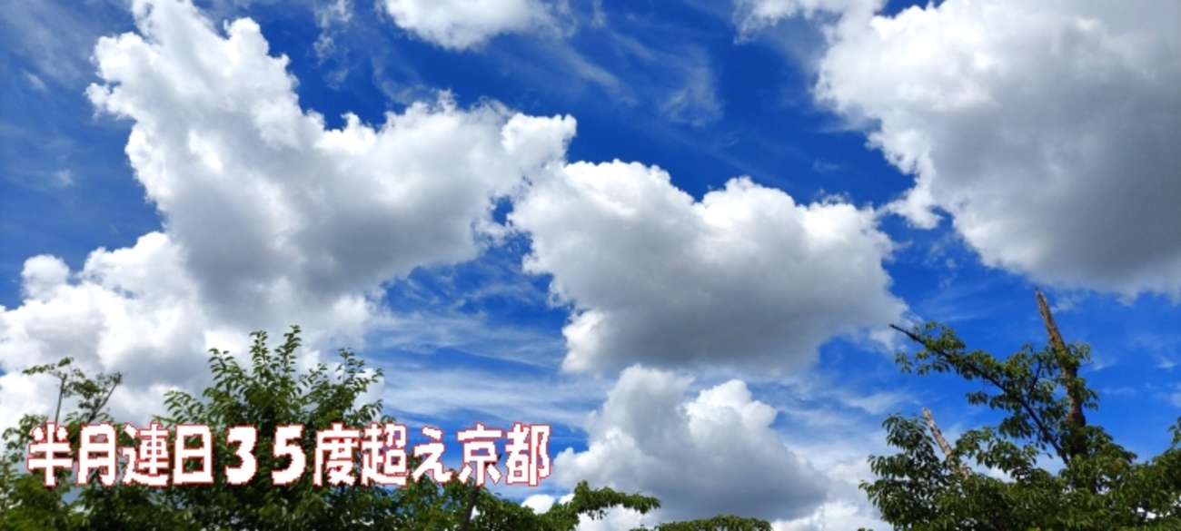 京都もう半月連日３５度以上🌻♨️葛のくず野郎（笑）とエネルギーチャージ - いげのやま美化クラブ(kyoto　Japan）