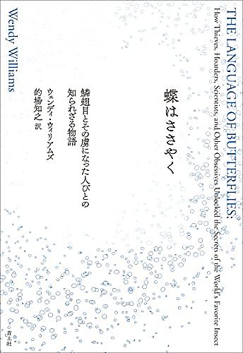 特殊化とは 一般の人気 最新記事を集めました はてな