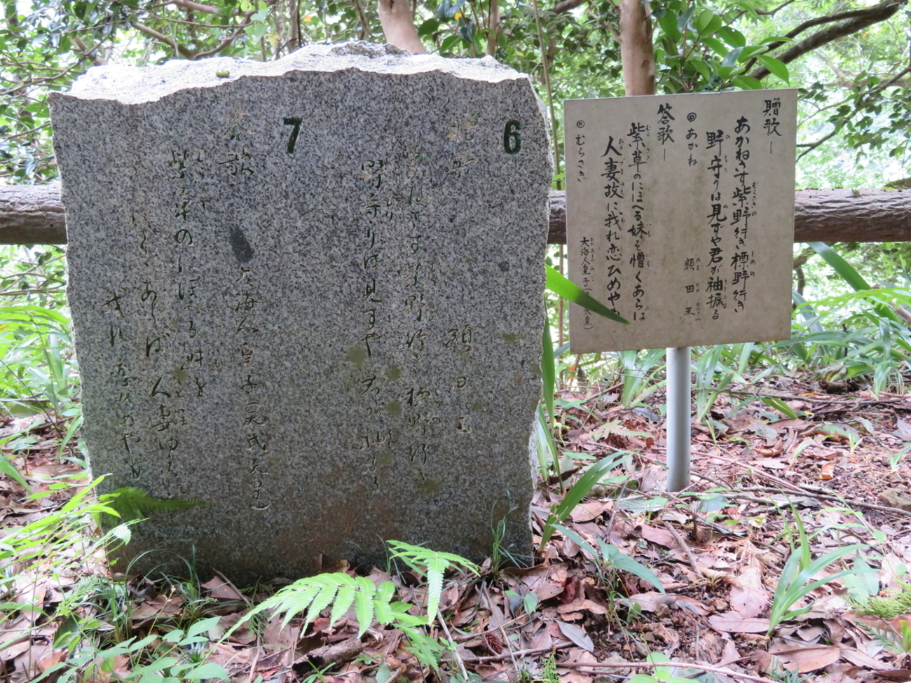 愛媛県人妻画像 