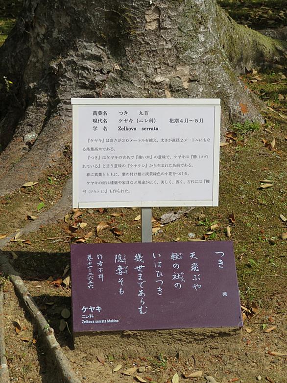 連体形とは 一般の人気 最新記事を集めました はてな 連体形とは 一般の人気 最新記事を集めました はてな