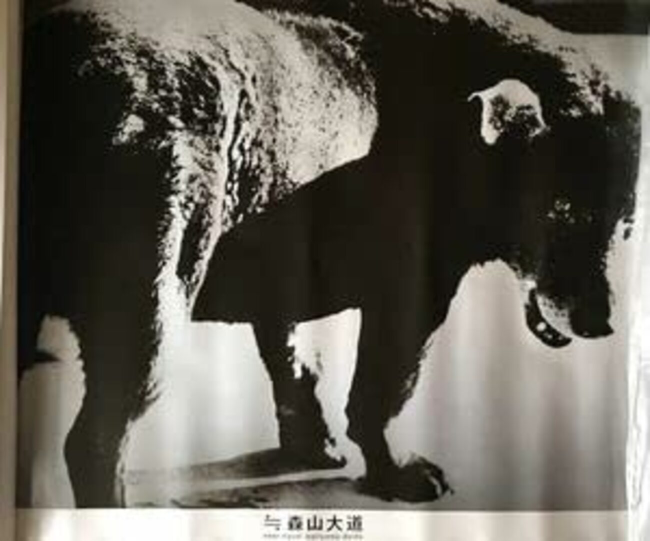 森山大道の写真集「何かへの旅 1971-1974」を見た。やっぱりすごいなあ 