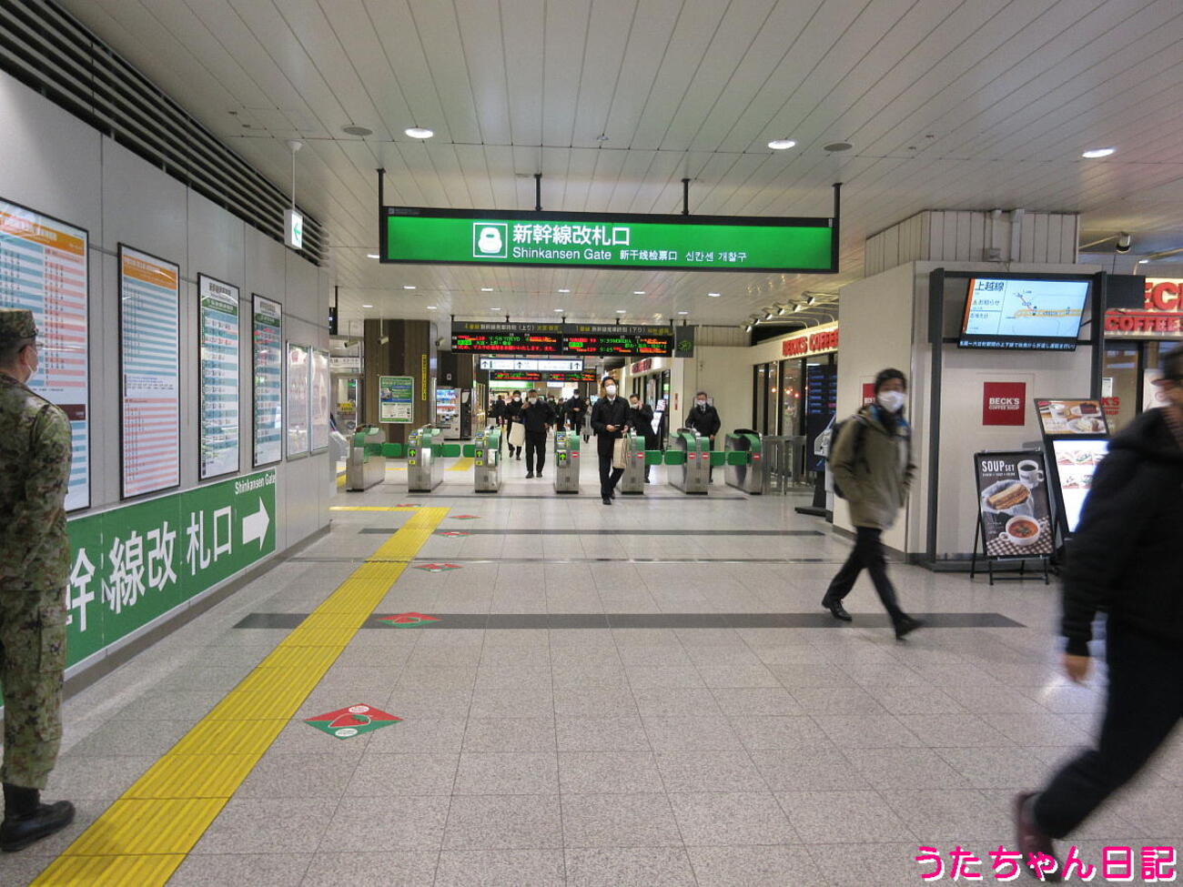 UTUNOMIYA 宇治抹茶入り水出し緑茶TB50P | お茶とコーヒーの国太楼