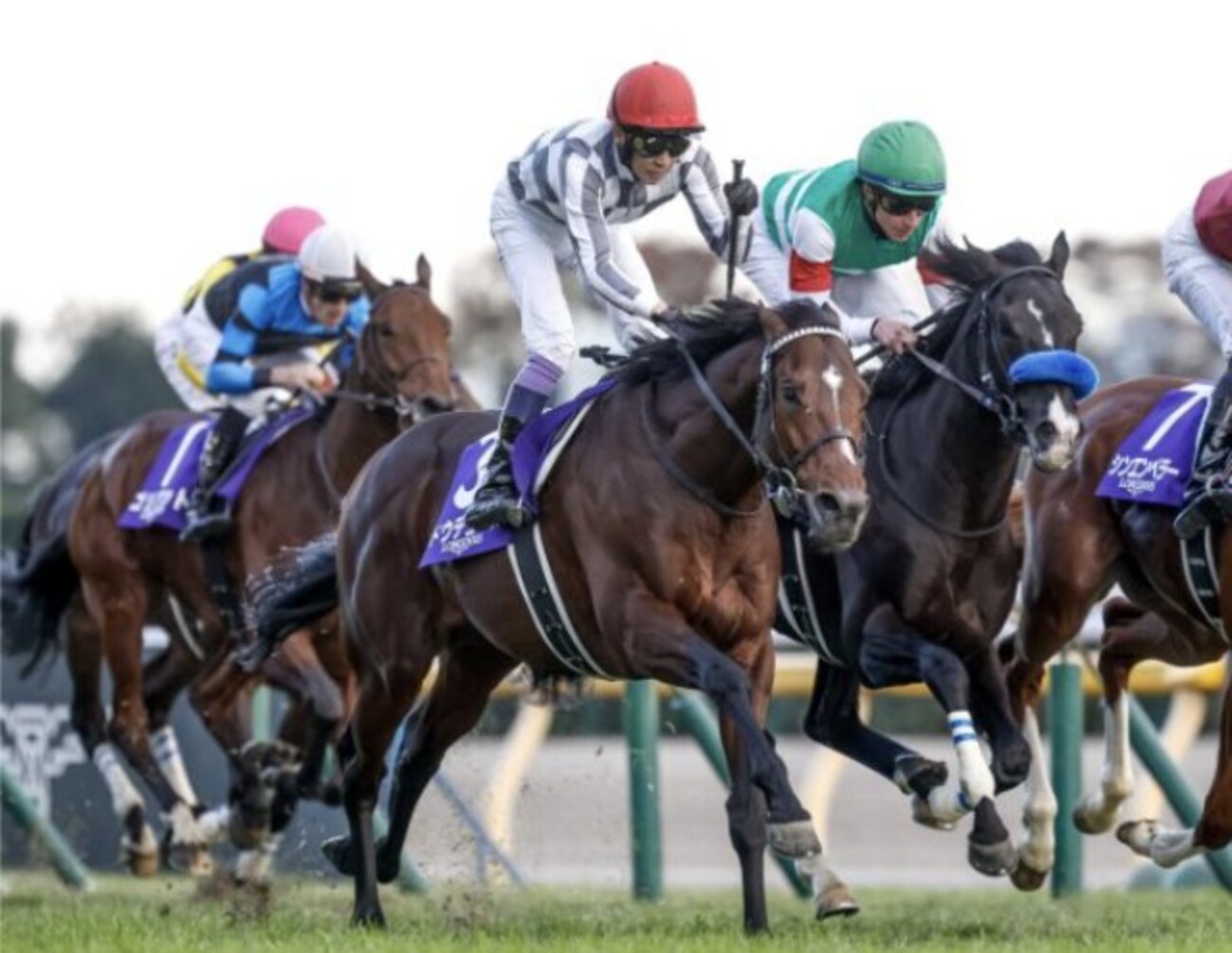 ドウデュース、圧巻の走りでジャパンカップ制覇！武豊騎手、史上