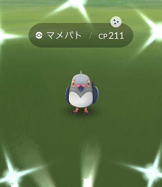 マメパトとは ゲームの人気 最新記事を集めました はてな マメパトとは ゲームの人気 最新記事を集めました はてな