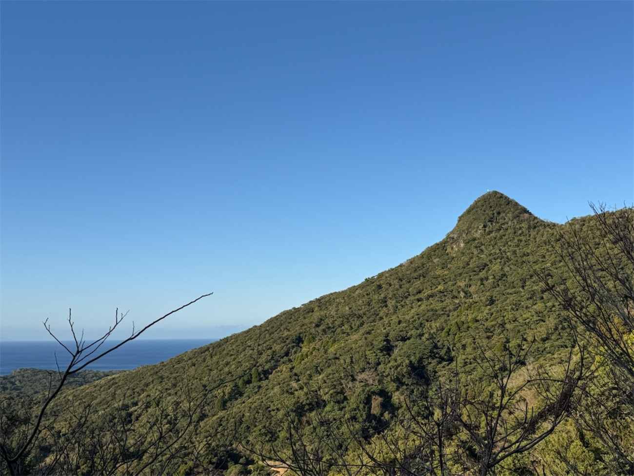 今岳、長者山」登山！坊津の海を臨む良ルート - 嶺と轍 ｜peak ＆ ride