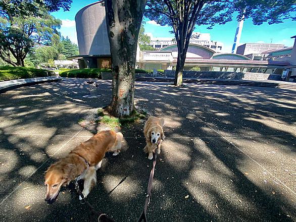 ユニディとは 一般の人気 最新記事を集めました はてな