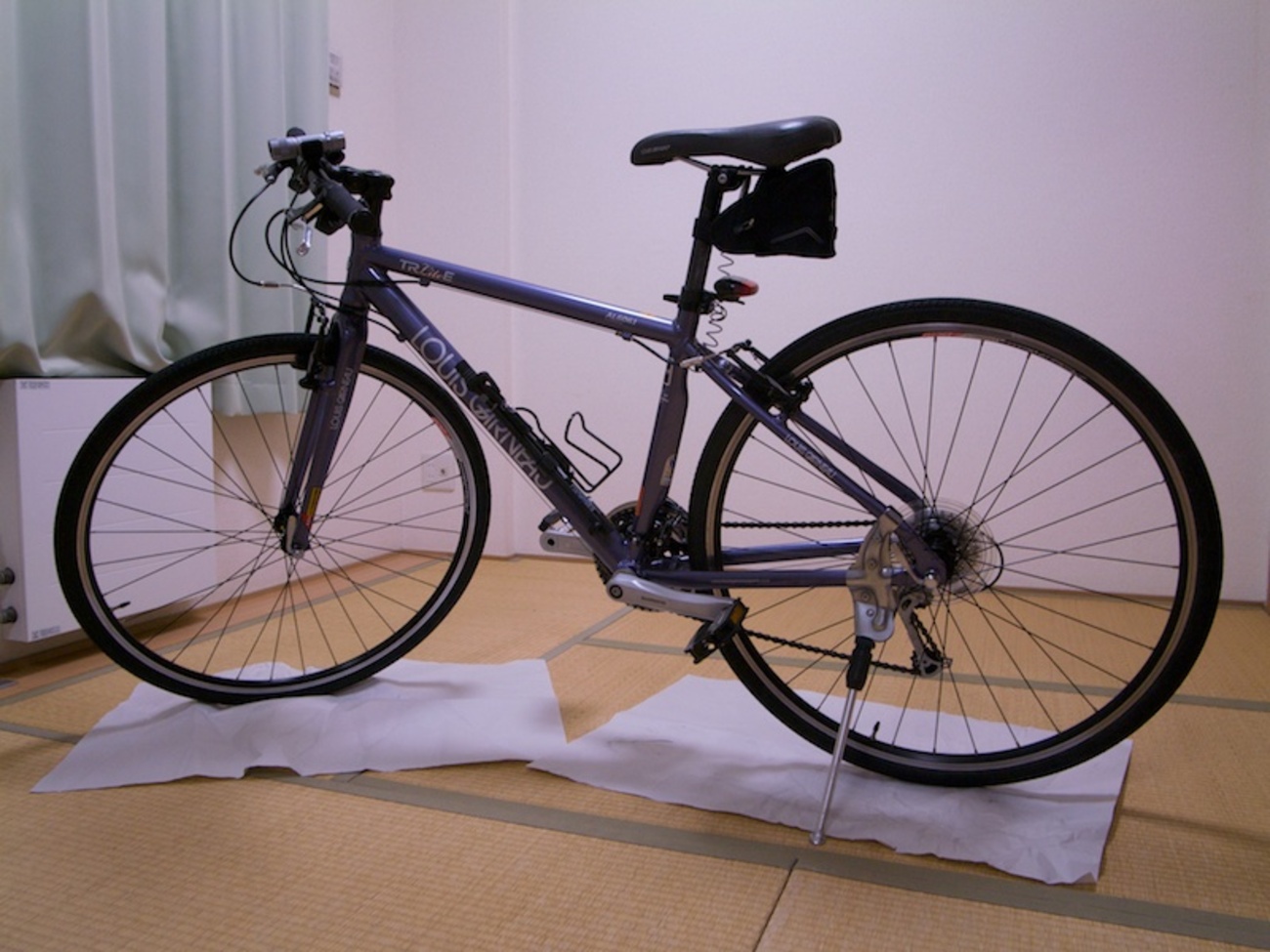 ルイガノLOUIS GARNEAU TR Lite E - スライムぴんぼけ日記