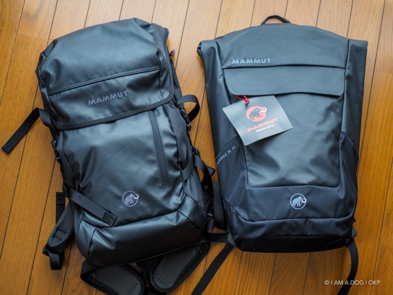 MAMMUT (マムート)「ROCK COURIER SE 20L」(SEON COURIER) は仕事＆街 