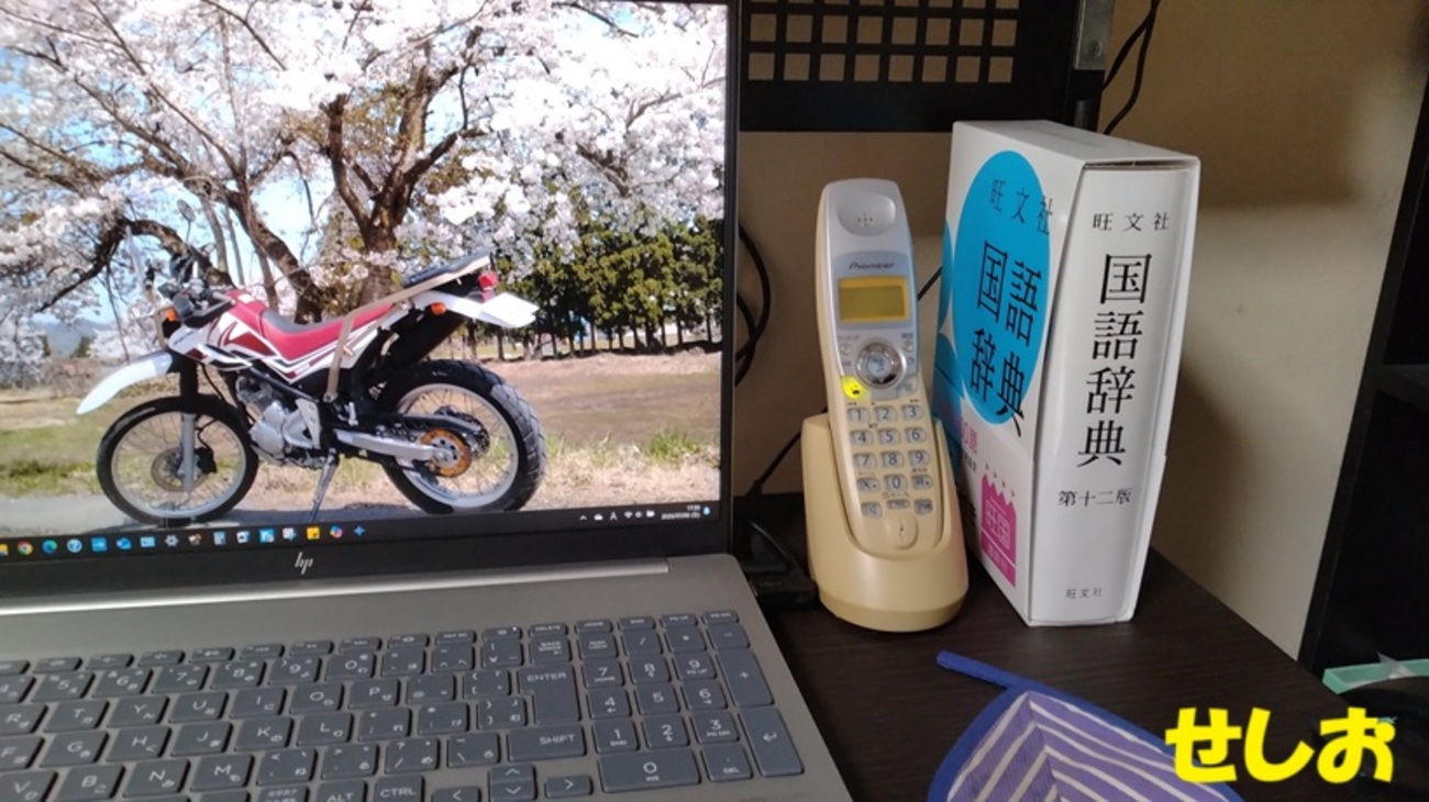 辞書を買う - ダダのミシン屋日記