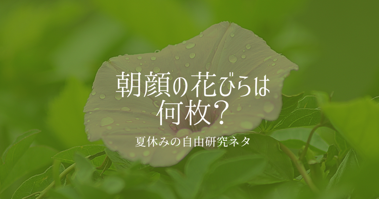 朝顔 の 花びら は 何 枚