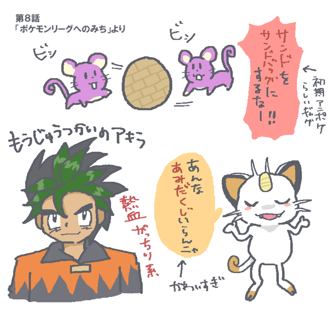 無印アニポケ感想８話～９話