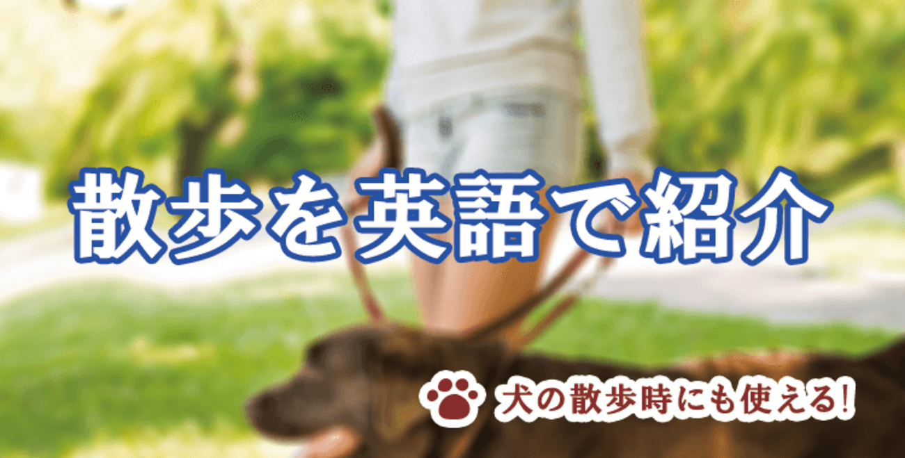 ペットと散歩 散歩】は英語でなんて言う？犬の散歩やまつわる表現を例文で紹介