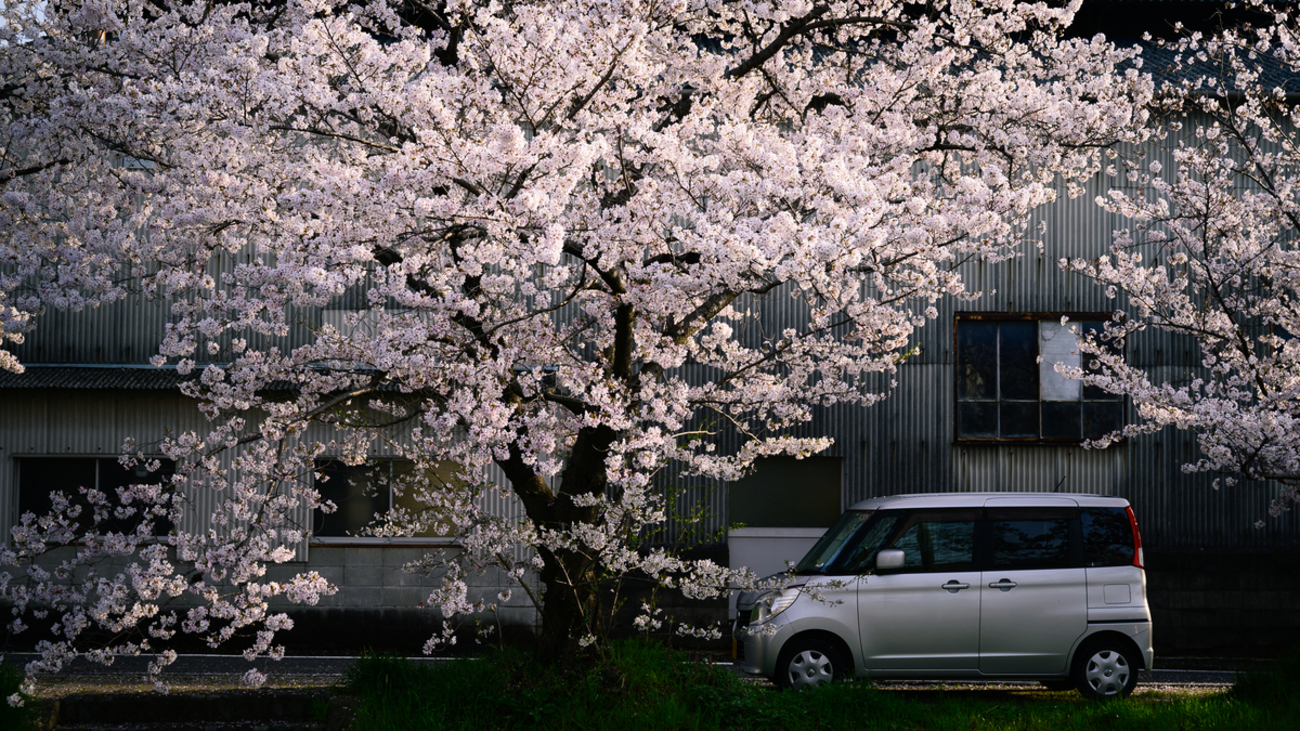 確認(*•̀ㅂ•́)و✧画像2枚 気が付いたら手持ちのZが2世代目になってたので、ちょっと好きなところ