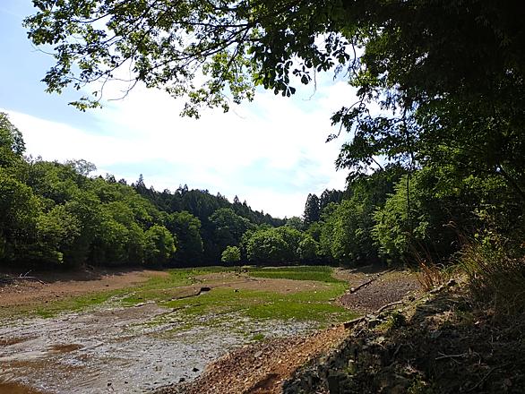 亀岡とは 地理の人気 最新記事を集めました はてな