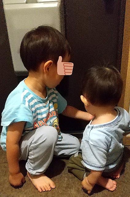 兄弟喧嘩とは 一般の人気 最新記事を集めました はてな