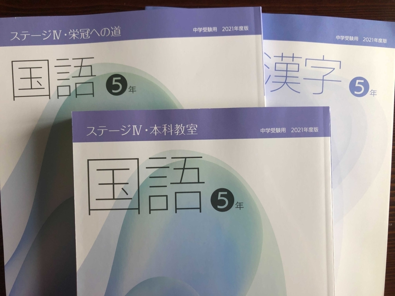 日能研 Yahoo!オークション ちゅりぷ子の 公式通販 カリキュラムテスト 