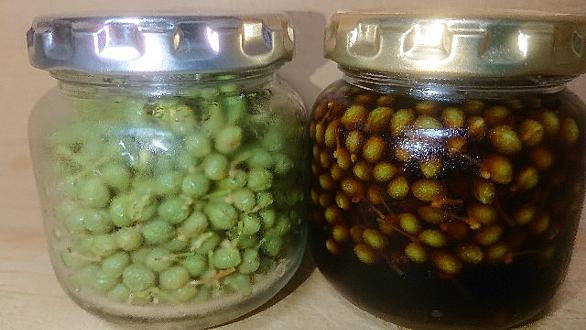 実山椒とは 食の人気 最新記事を集めました はてな 実山椒とは 食の人気 最新記事を集めました はてな