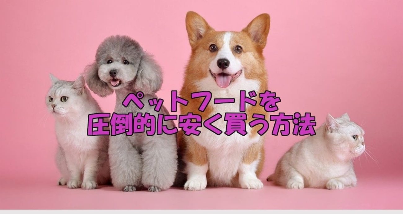 B!] ペットフードを通販でとことん安く買う方法【ペットの食費節約術】 - ミーハー女子が行く