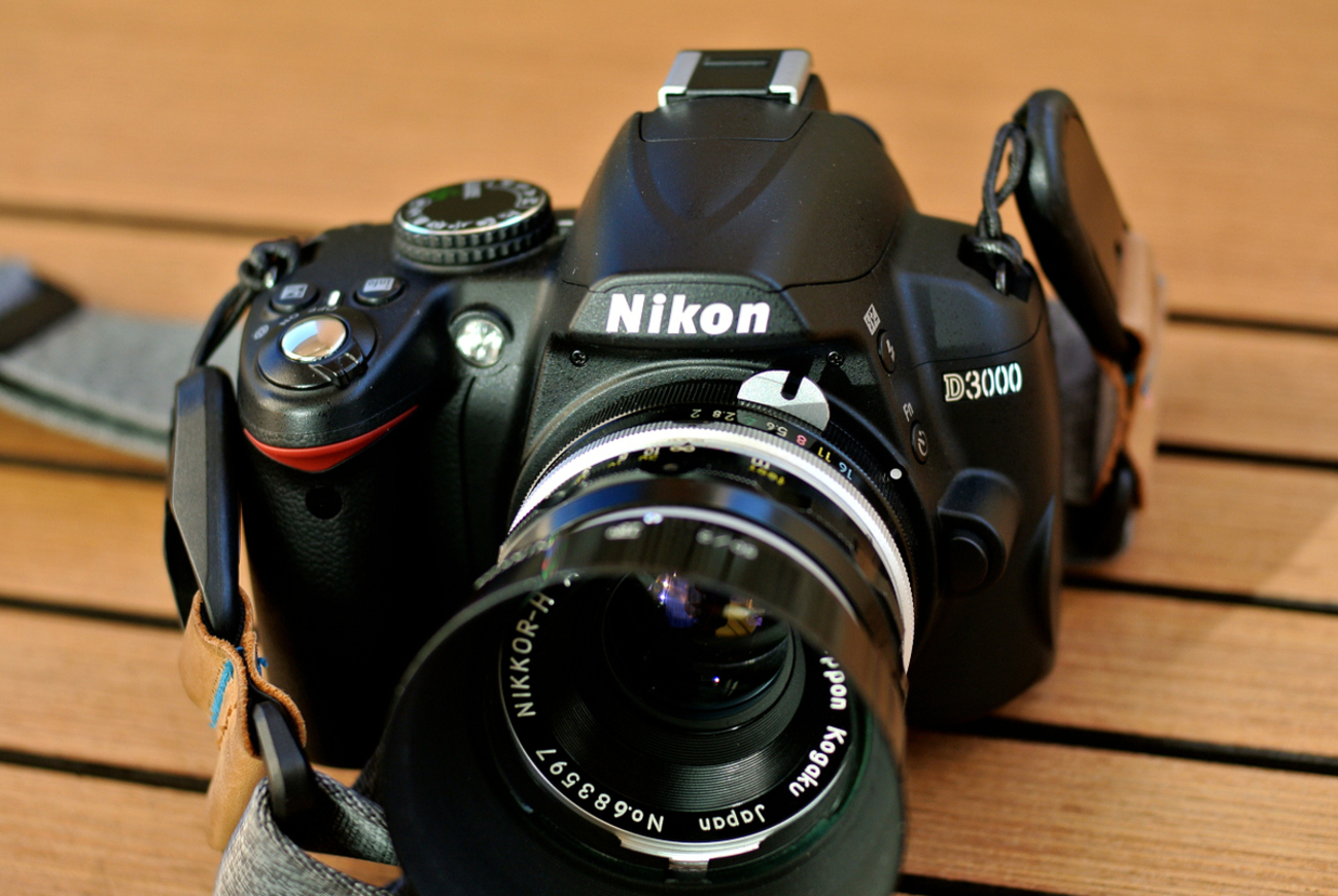 兄貴に憧れたNikon最後のCCD：Nikon D3000 - Foto Anthem