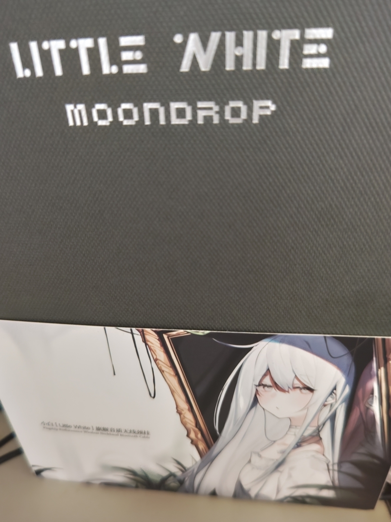 ボーナスが出たので散財した話(水月雨Little Whiteとfinal UX3000を 