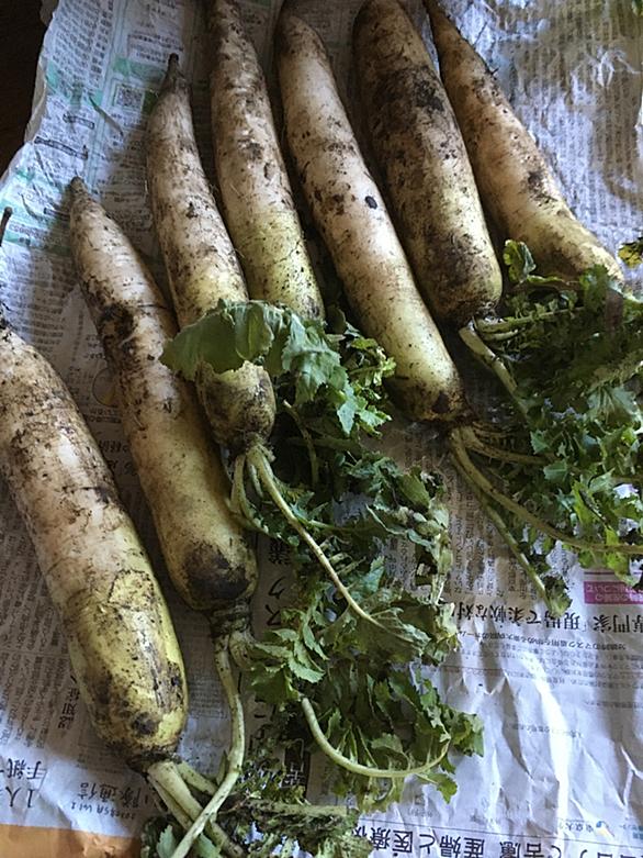 あなたと健康社とは 読書の人気 最新記事を集めました はてな