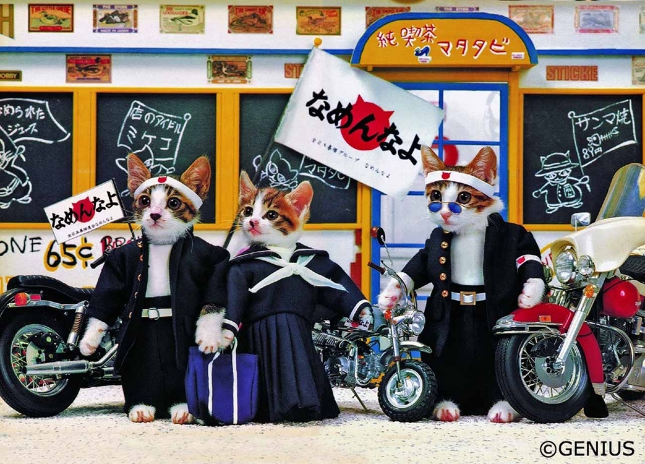 なめ猫 - 昭和40年代生まれ 懐かしさを細々と