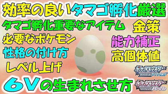 タマゴ孵化とは 人気 最新記事を集めました はてな