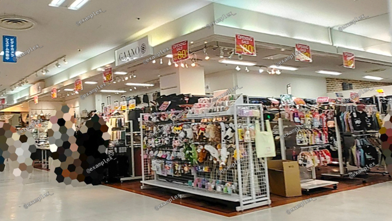 活動歴および当時の関連ビジュアル記録