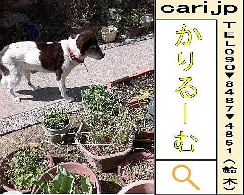 鈴木健一とは アニメの人気 最新記事を集めました はてな