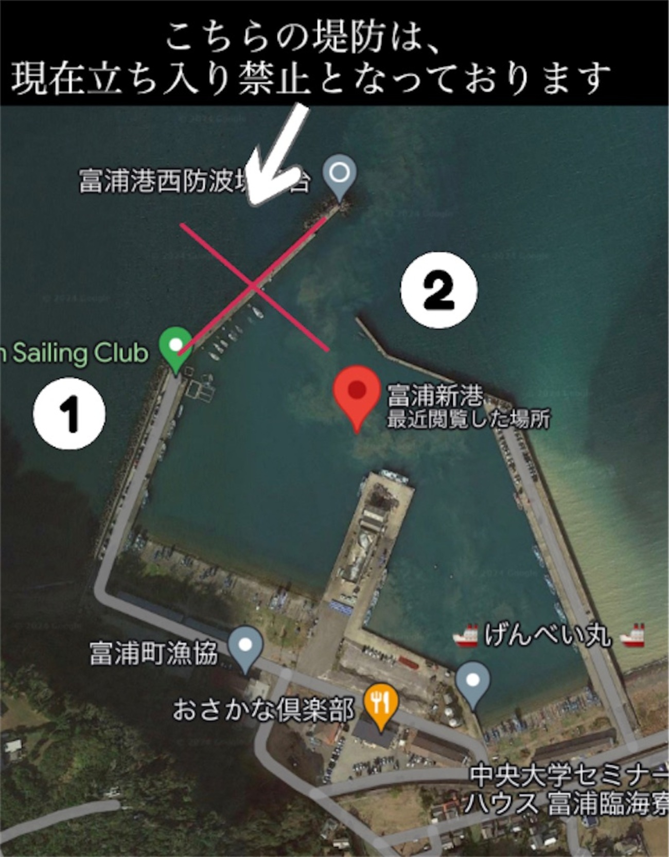 富浦公園 釣り