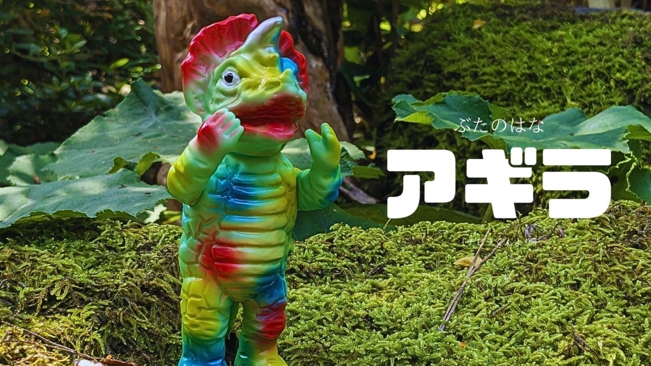 backend=imagemagick;version=1; 