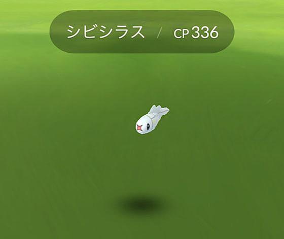 シビビールとは ゲームの人気 最新記事を集めました はてな シビビールとは ゲームの人気 最新記事を集めました はてな
