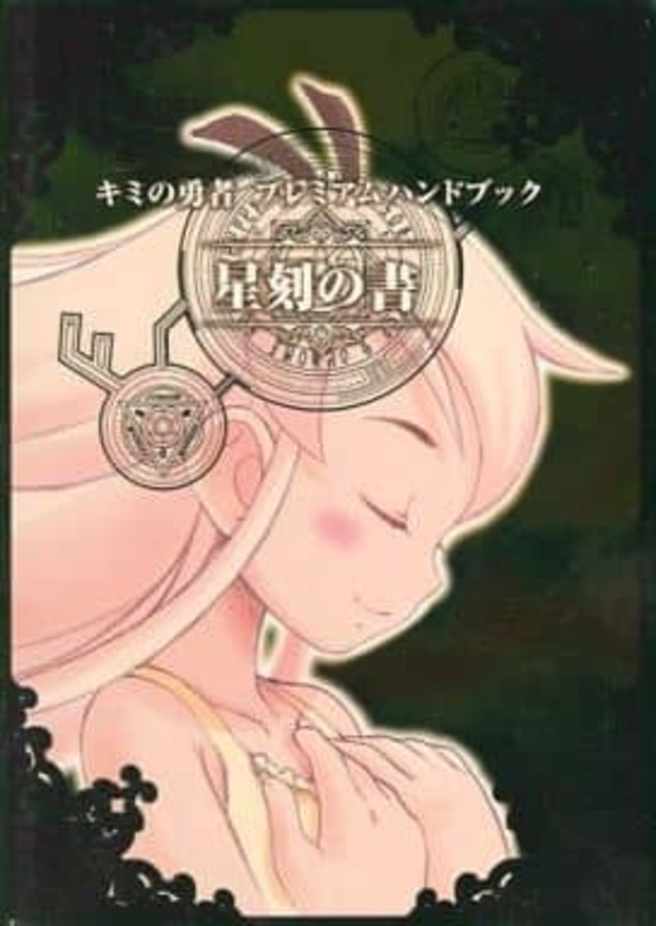 キミの勇者のゲームと攻略本とサウンドトラック プレミアソフト 