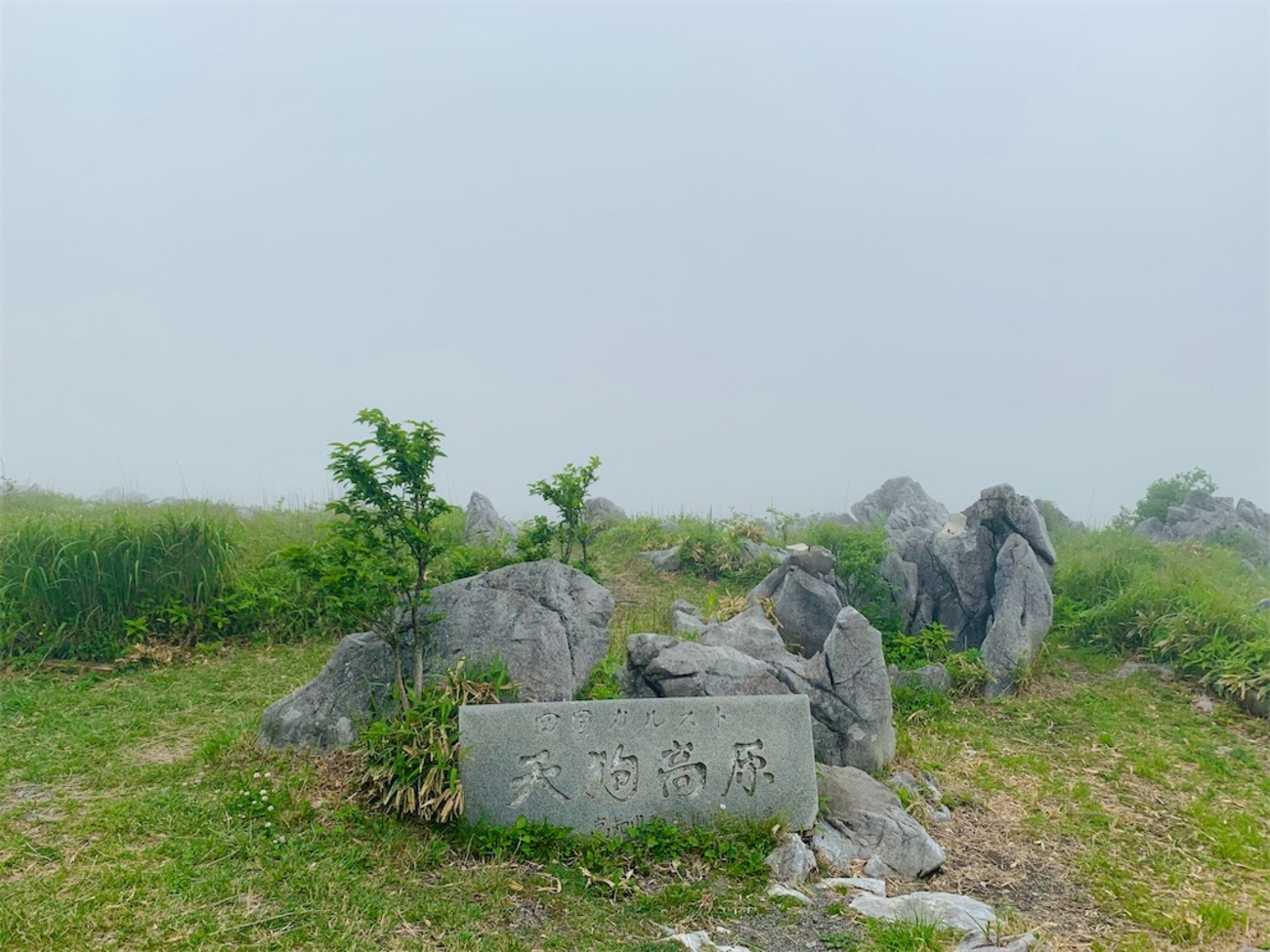 高知県・愛媛県の県境】360度の大自然パノラマビュー！『四国カルスト