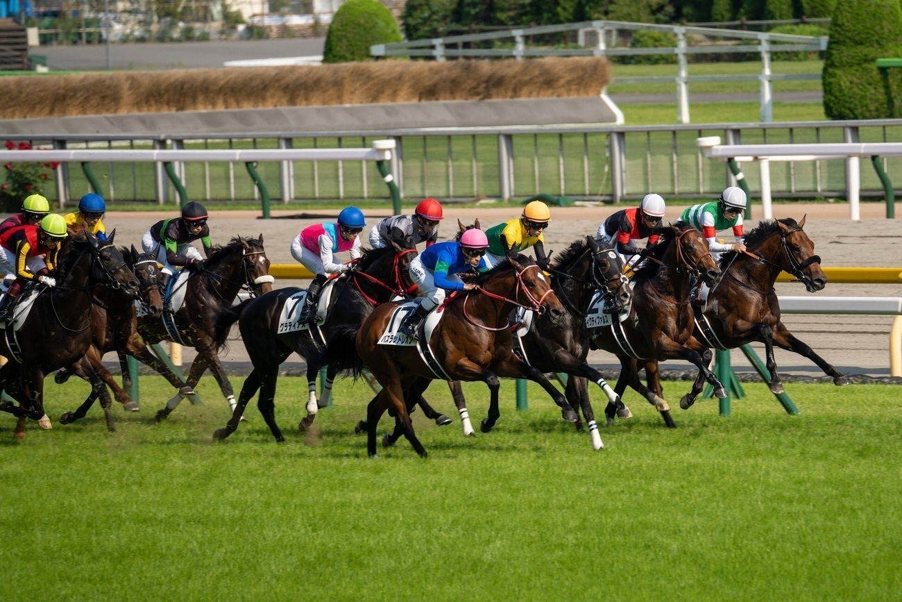 デジタルカメラで撮影しました過去の競馬の写真 競馬写真かんたん撮影講座／おすすめのカメラ・レンズ - araichuu.com
