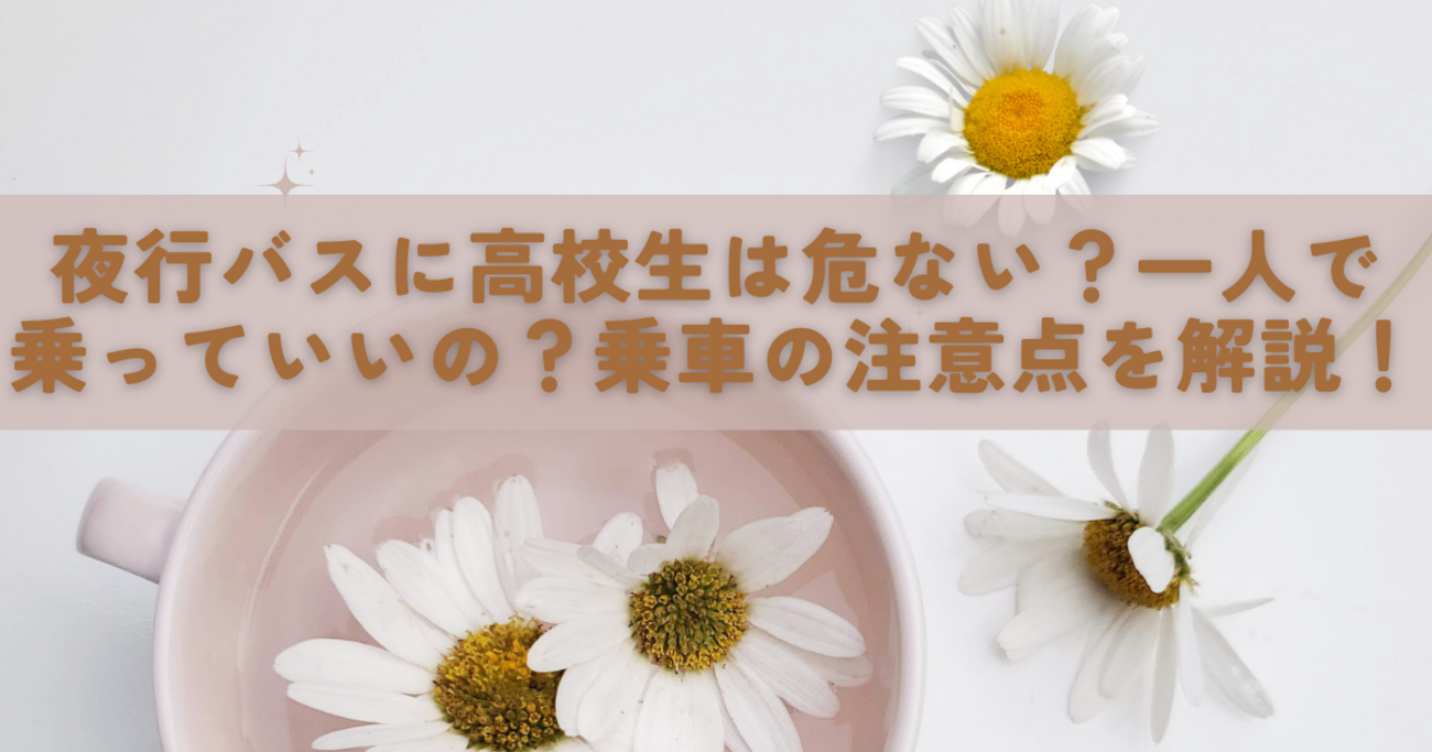 夜行バスに高校生は危ない？一人で乗っていいの？乗車の注意点を解説！ - ゆいの生活小箱