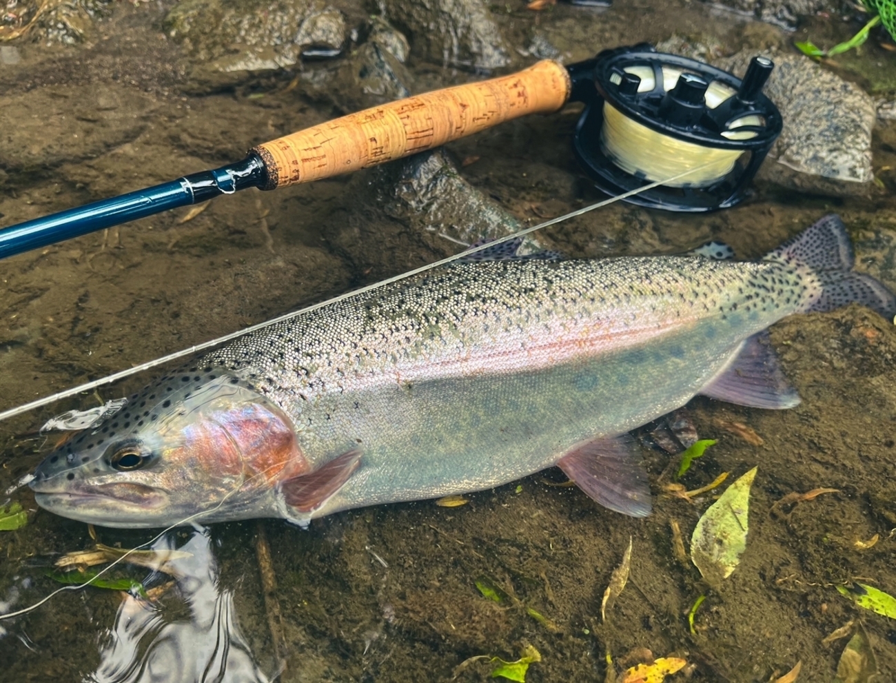 北海道】道北フライ縛り釣行 - Train-Fishing