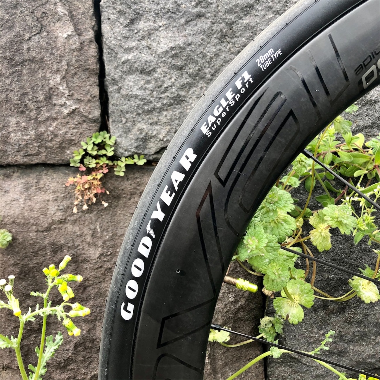 GOODYEAR（グッドイヤー）イーグル F1 R チューブタイプ 28c GOODYEAR（グッドイヤー）Eagle F1 R Tube Type（イーグルF1R