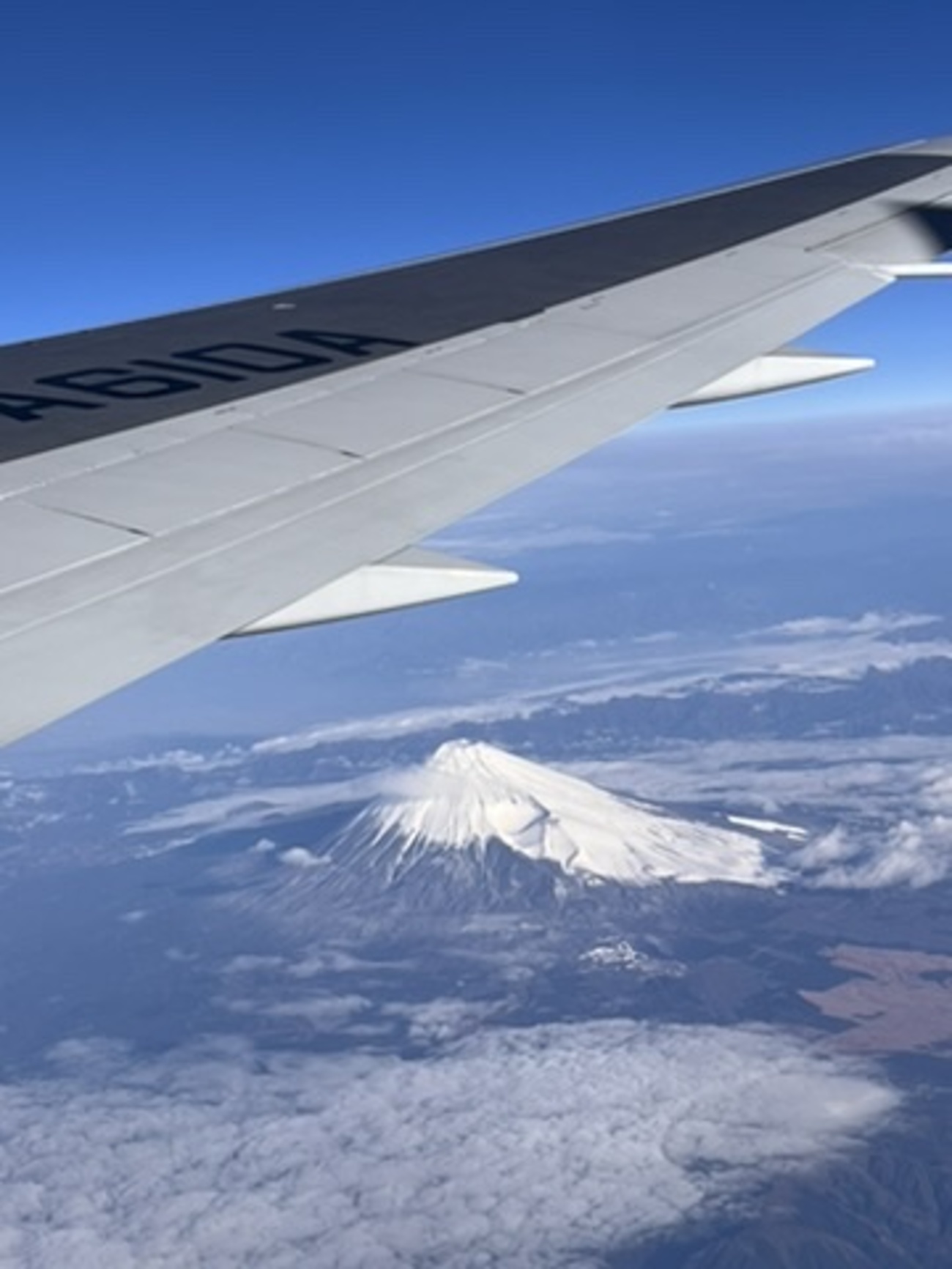 スカイコイン期限ギリギリで宮古島に行ったお話し - 凝れば凝るほど・・・
