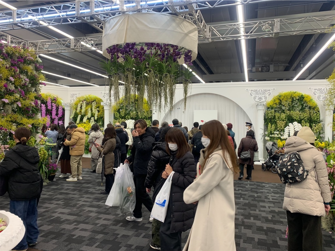 またまた世界らん展2026に行ってきました - 純風満蘭（富貴蘭・風蘭